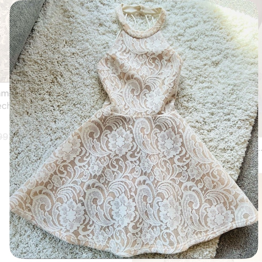 Windsor Elegant Beige Baroque Lace Cocktail Dress